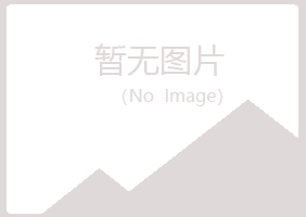 银川西夏从寒培训有限公司